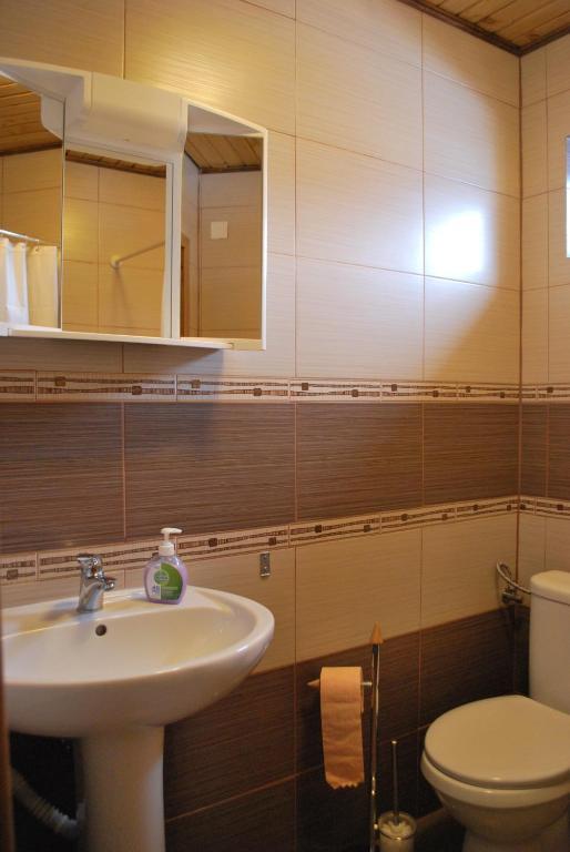 Pensiunea Alexandra Vatra Moldovitei Room photo