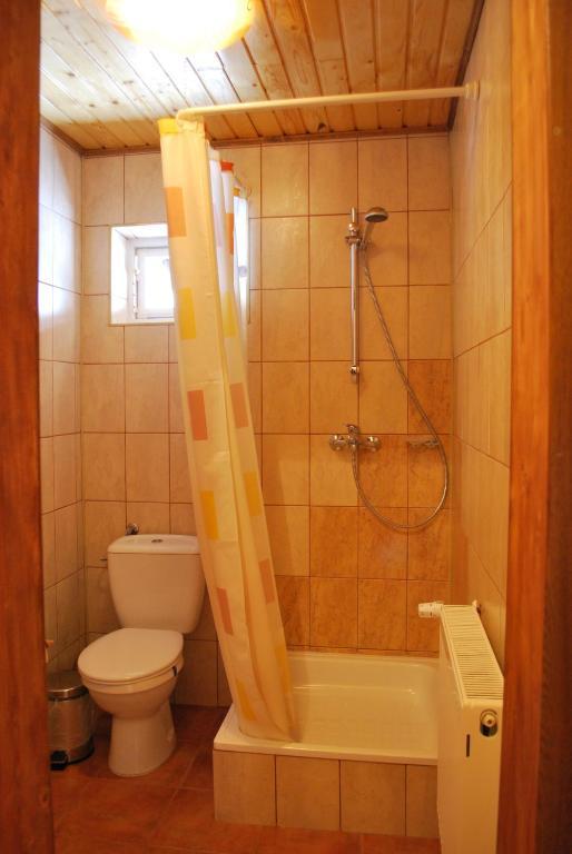 Pensiunea Alexandra Vatra Moldovitei Room photo